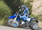 Yamaha WR250R